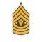 Patch - Sergeant Major